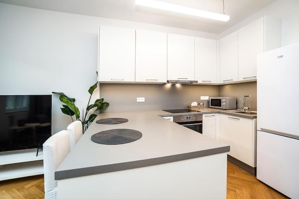 Amazing Two-bedroom With Terrace Prague
